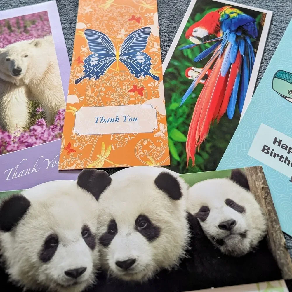 Colorful Animal Themed Greeting Cards - Set Of 5 plus Envelopes